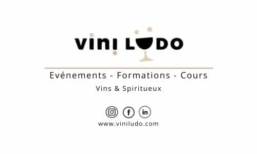 Vini Ludo